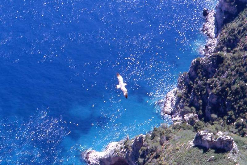 27 -  Veduta dal Monte Solaro,  1997.jpg